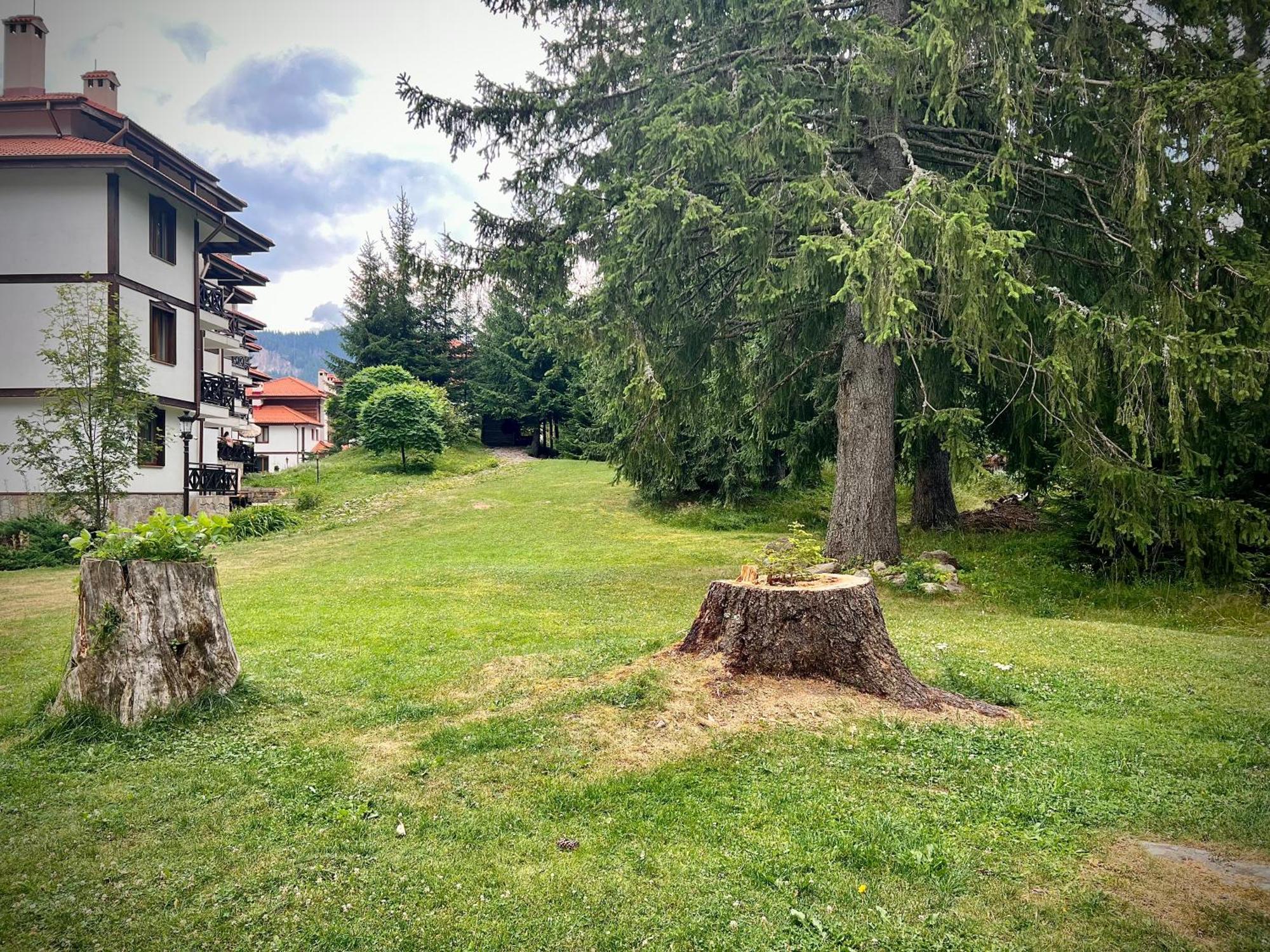 Relax Aпартаменти, Смолянски Езера, Вила Венера, К-С Маунтин Лейк Exterior photo
